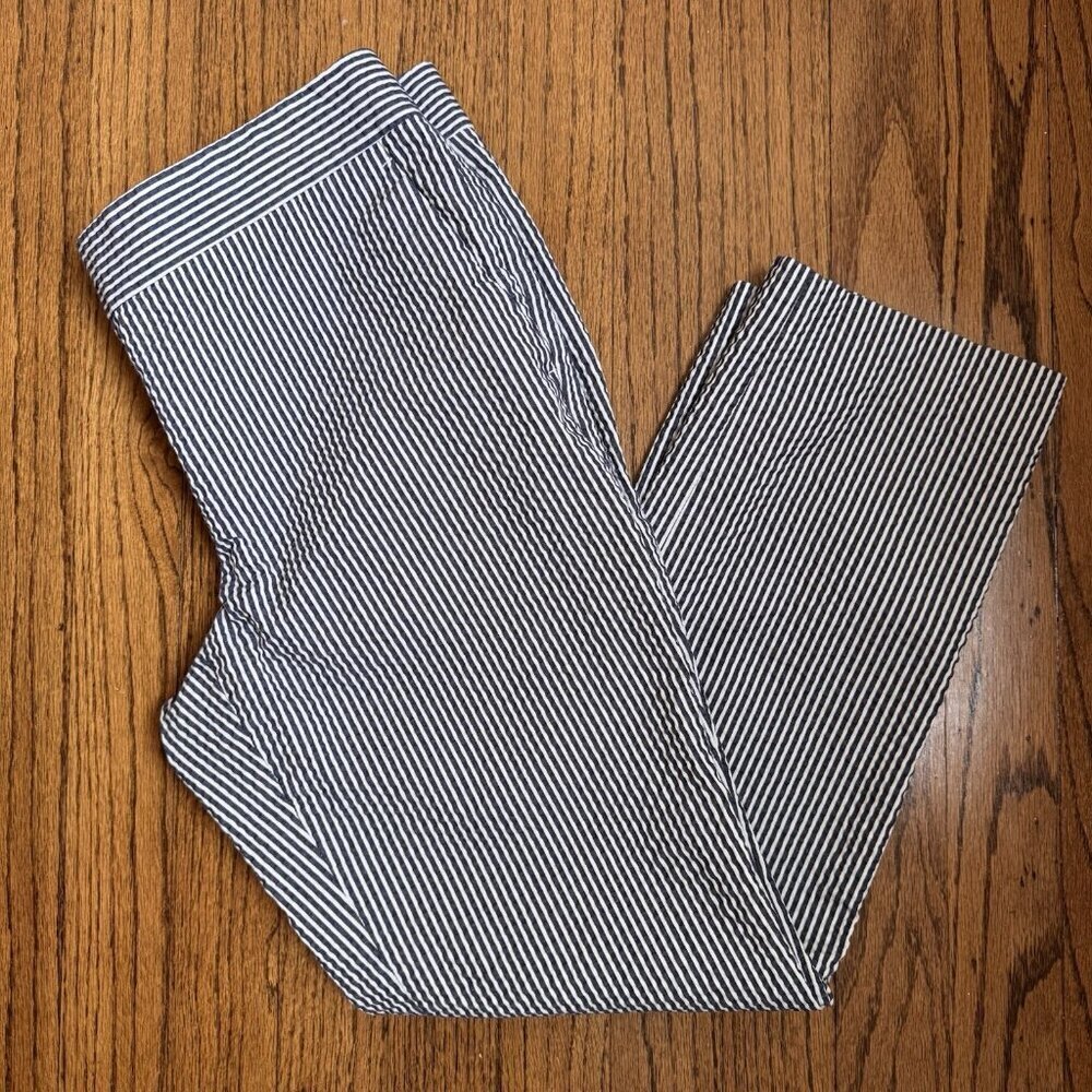 Ann Taylor Devin Fit Blue White Striped Ankle Pants Size 4